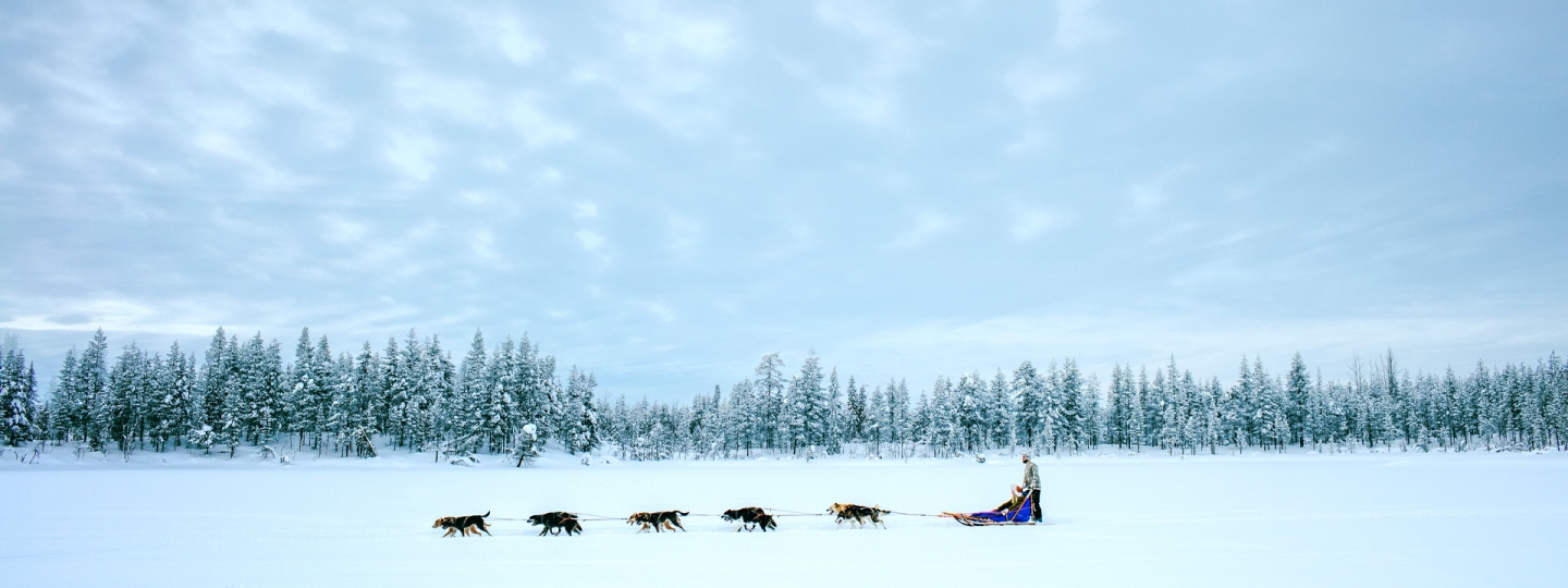 andy anderson, dog sledding, hundspann, 1920 x 720