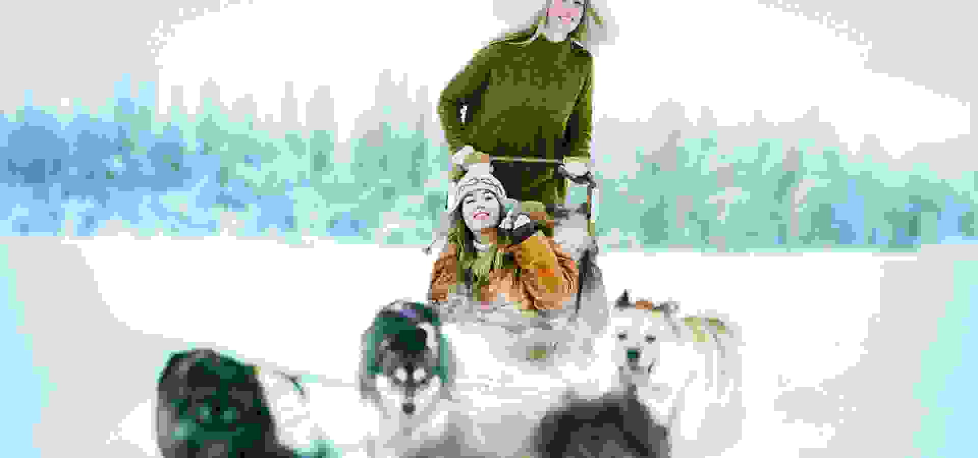 dog sledding, hundspann, andy anderson, 1920 x 1080