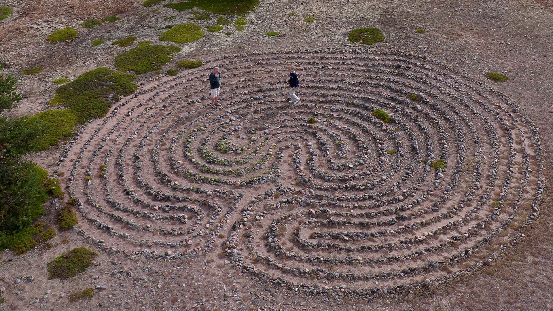 down in bermuda labyrinth island mushrooms