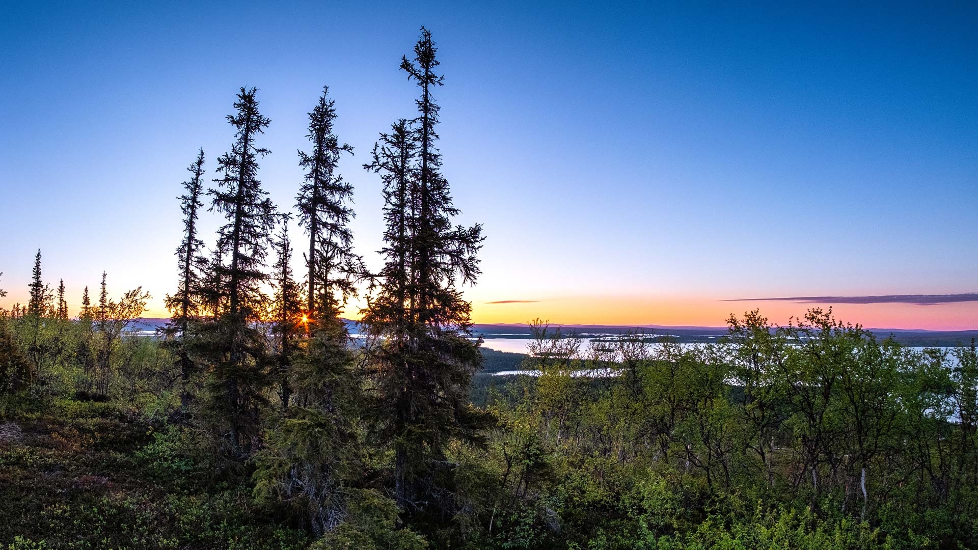 Midnight Sun, Swedish Lapland and Arctic Circle