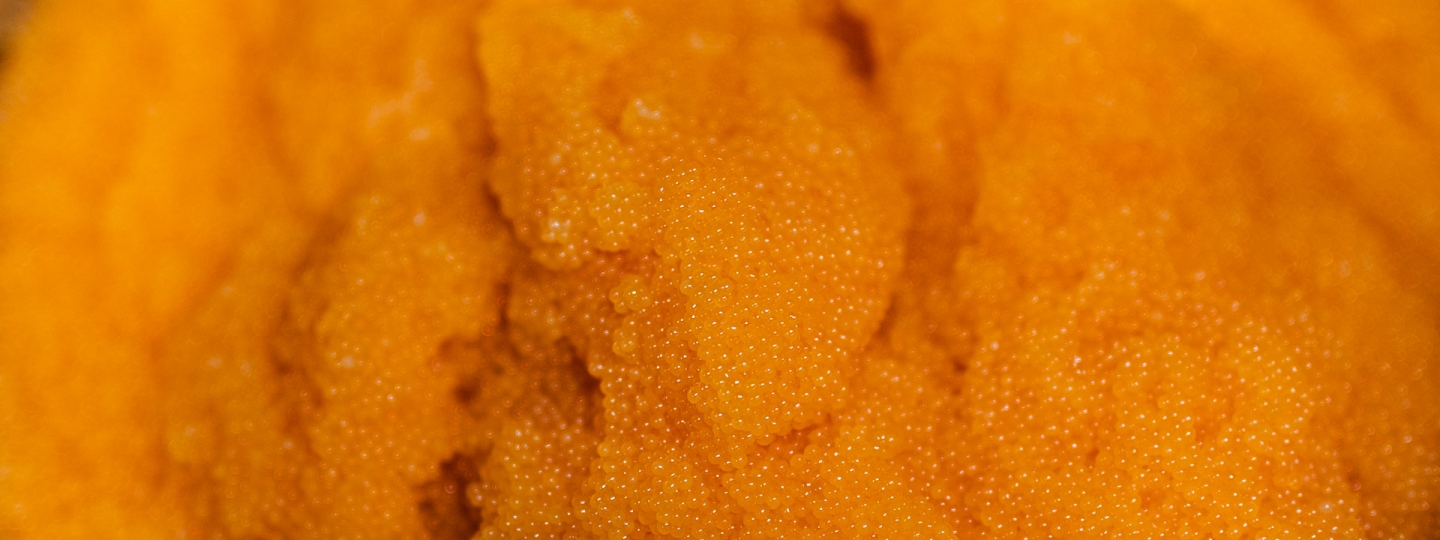 kalix löjrom, håkan stenlund, 1920 x 720, food, taste